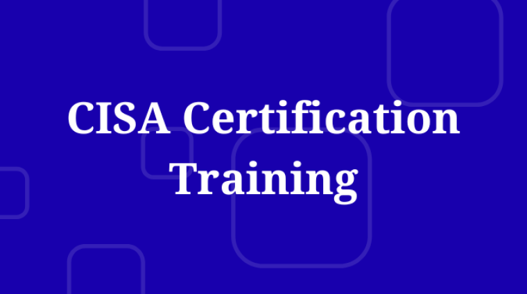 CISA certification course participants learning IT audit principles