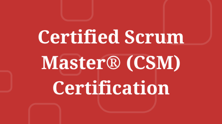 Certified ScrumMaster Training session with participants collaborating
